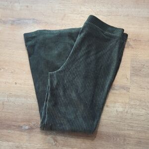 Aerie Dark Green Corduroy Pants